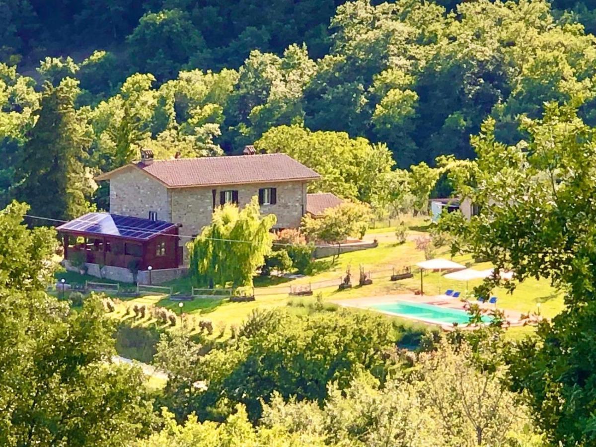 فيلا Agriturismo Vista Sole Mercatale  المظهر الخارجي الصورة