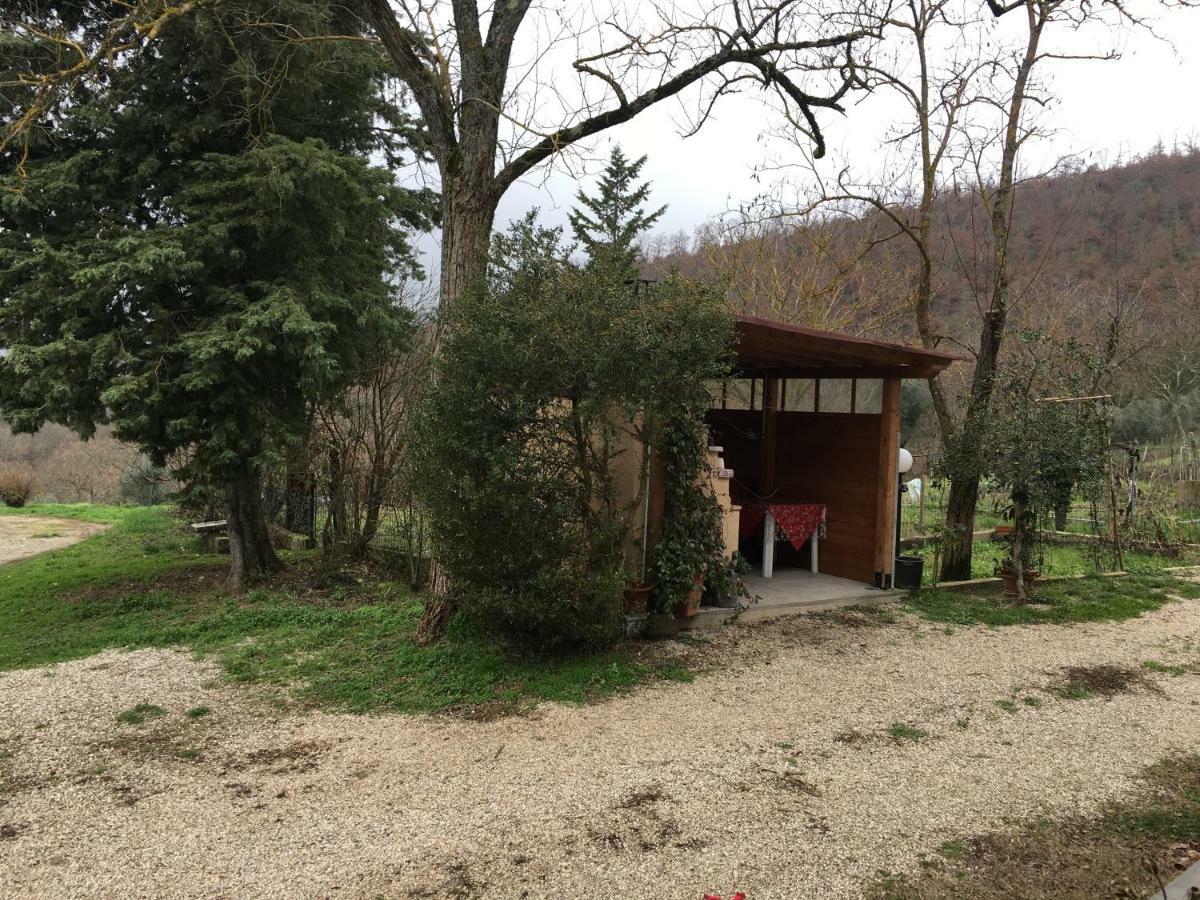 فيلا Agriturismo Vista Sole Mercatale  المظهر الخارجي الصورة