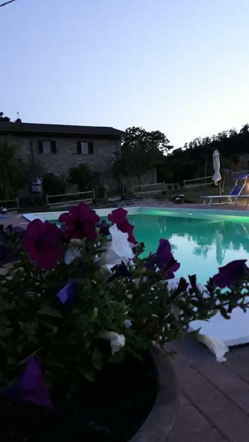 فيلا Agriturismo Vista Sole Mercatale  المظهر الخارجي الصورة