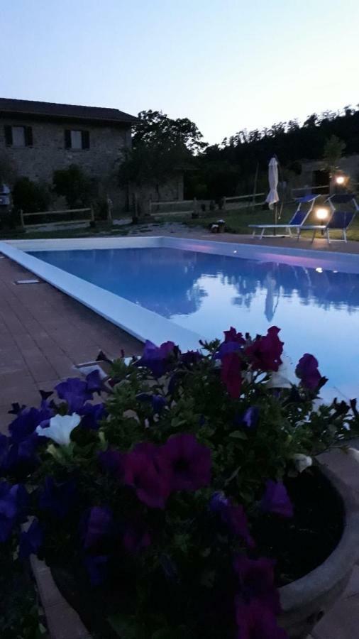 فيلا Agriturismo Vista Sole Mercatale  المظهر الخارجي الصورة
