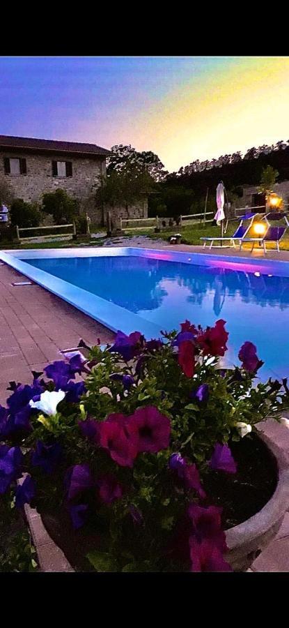 فيلا Agriturismo Vista Sole Mercatale  المظهر الخارجي الصورة