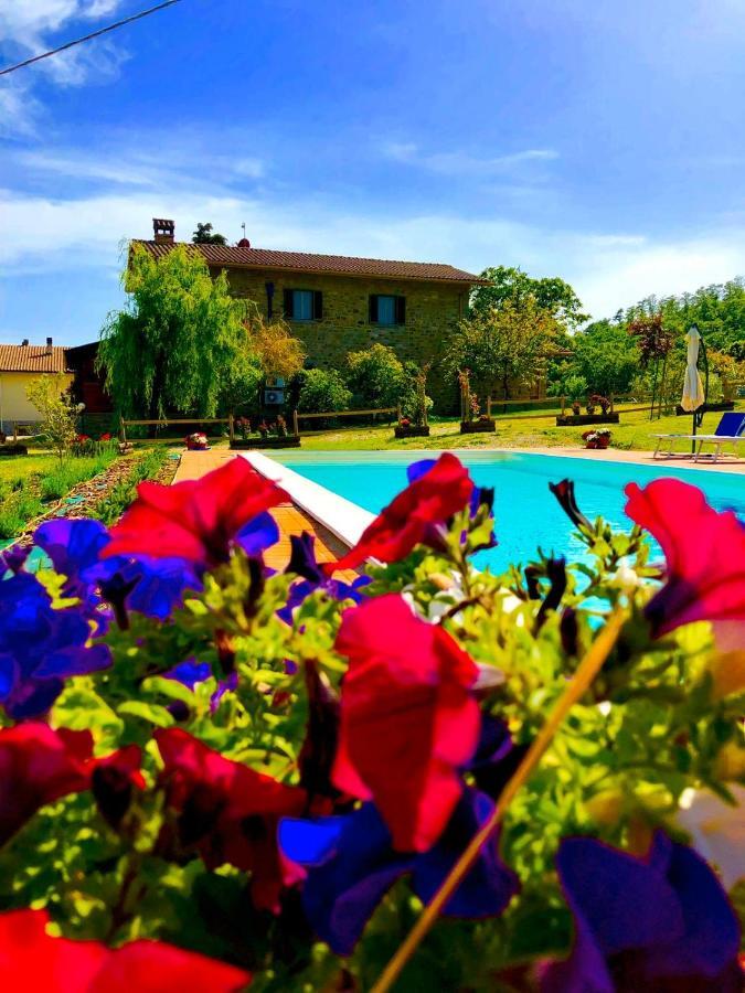 فيلا Agriturismo Vista Sole Mercatale  المظهر الخارجي الصورة